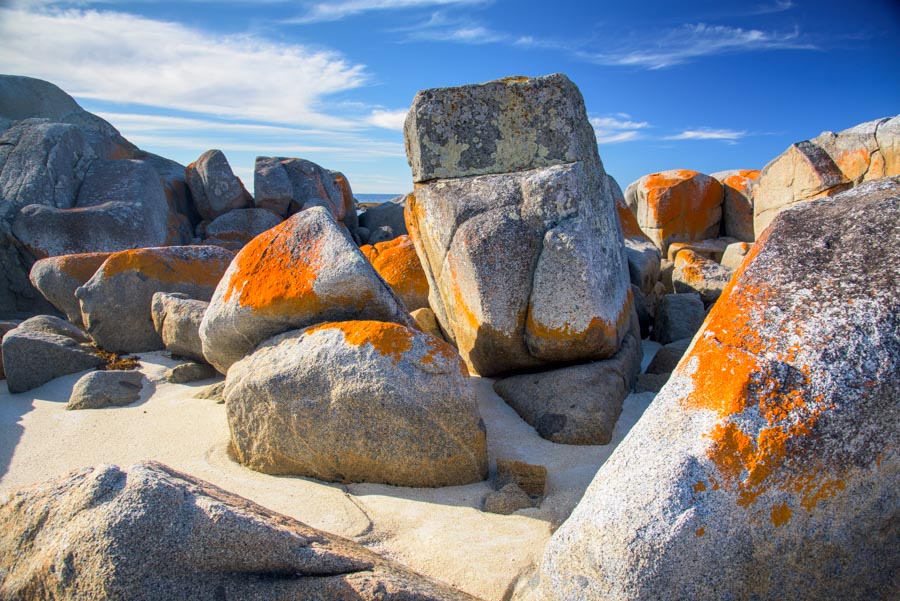 bayoffires