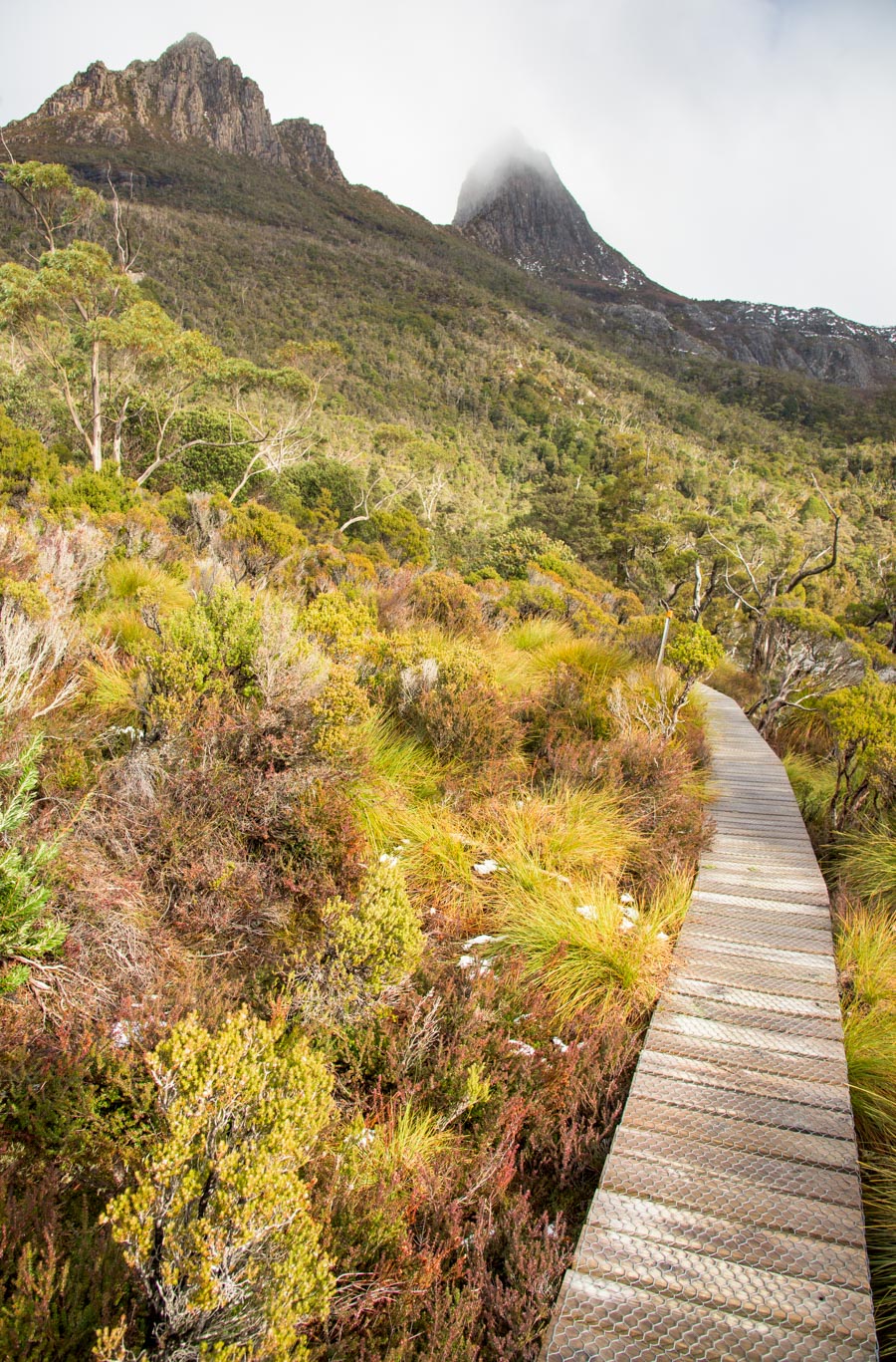 cradlemountain