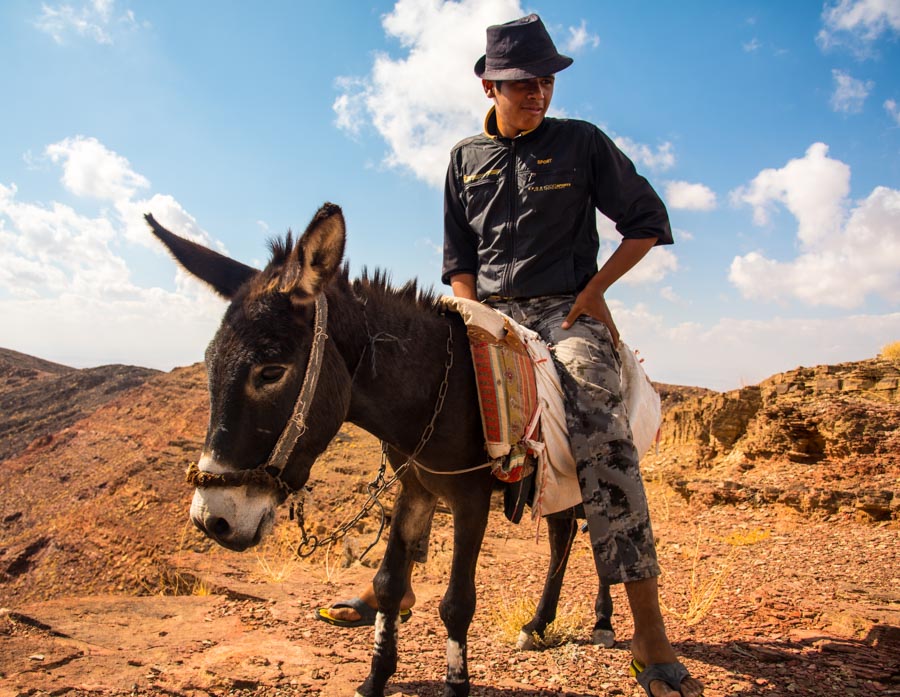 Jordan: Petra & the Dana Reserve